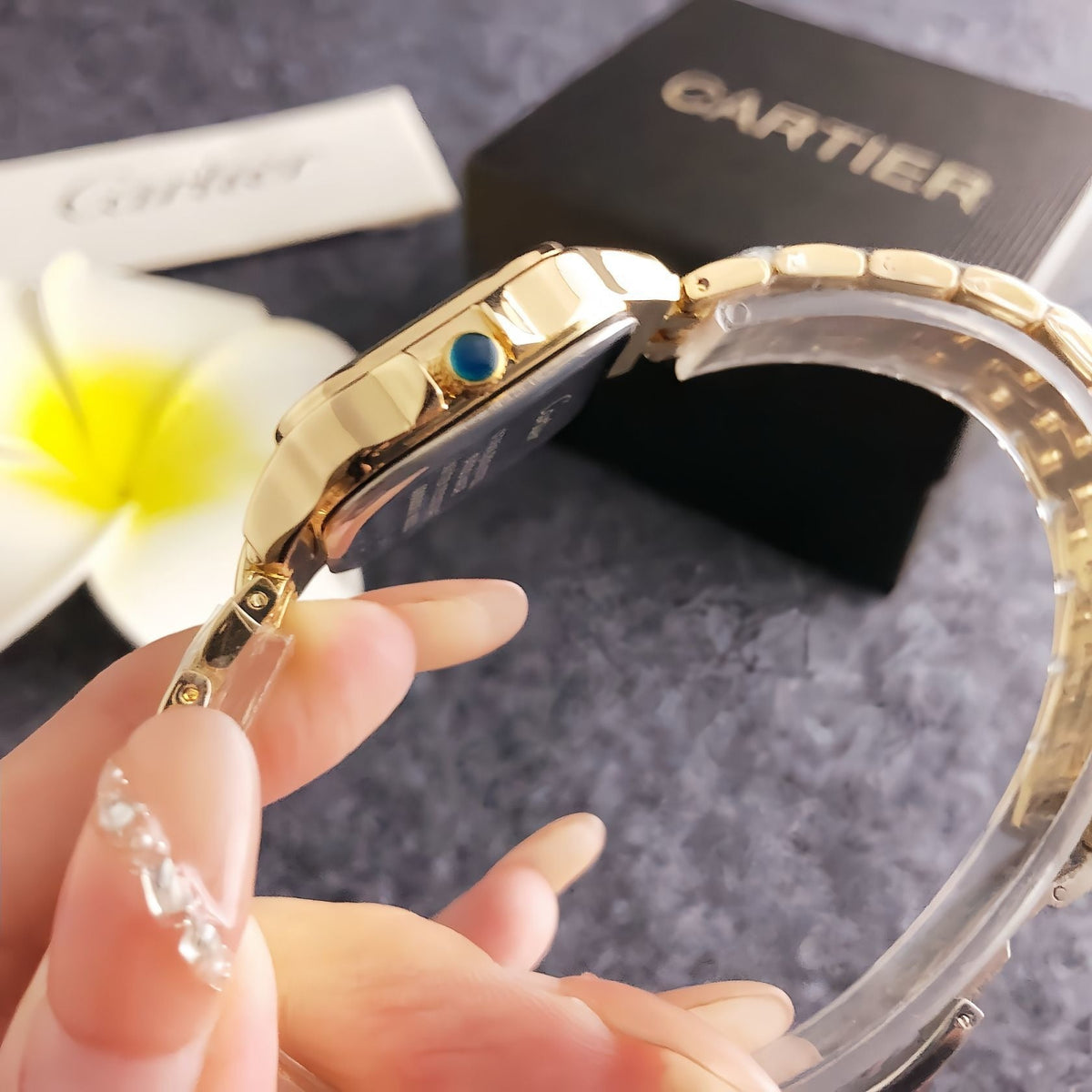 CT - Fiorenza Exclusive Watch